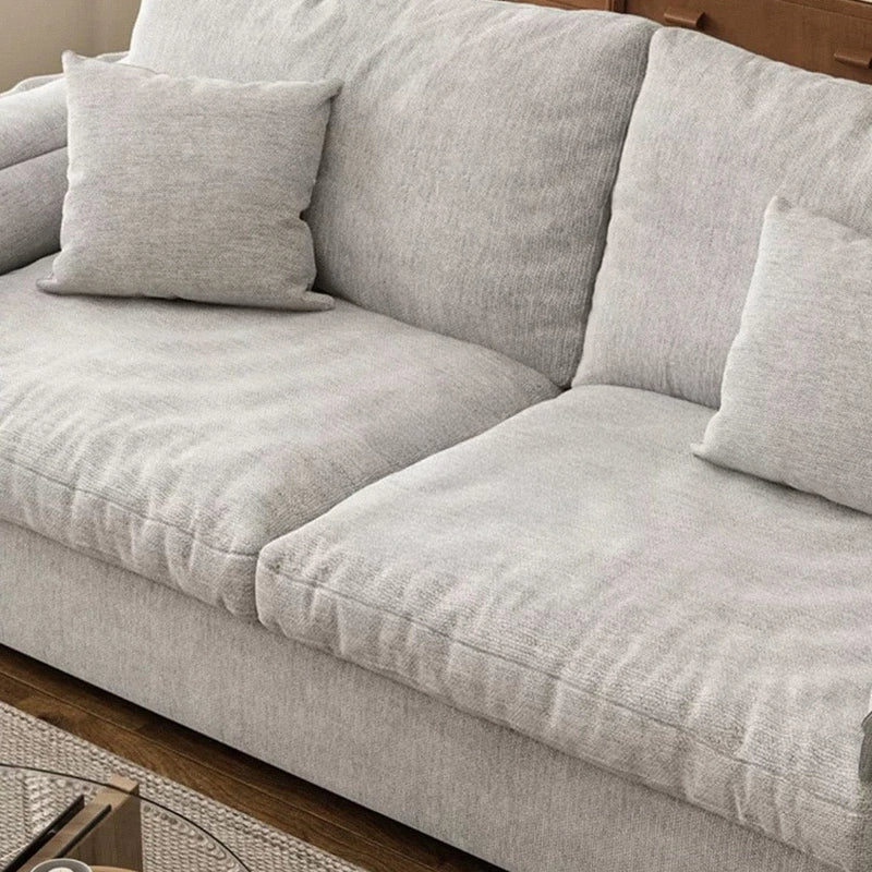 Rion sofa cumm bed with sleeper sofa design, padded armrests, plush back cushions, contemporary styling and convertible sofa bed functionality