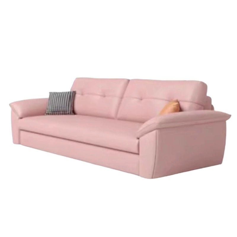 Compact home setup featuring Selaric sofacumbed with sofa cum bed functionality, couch bed versatility and space saving design