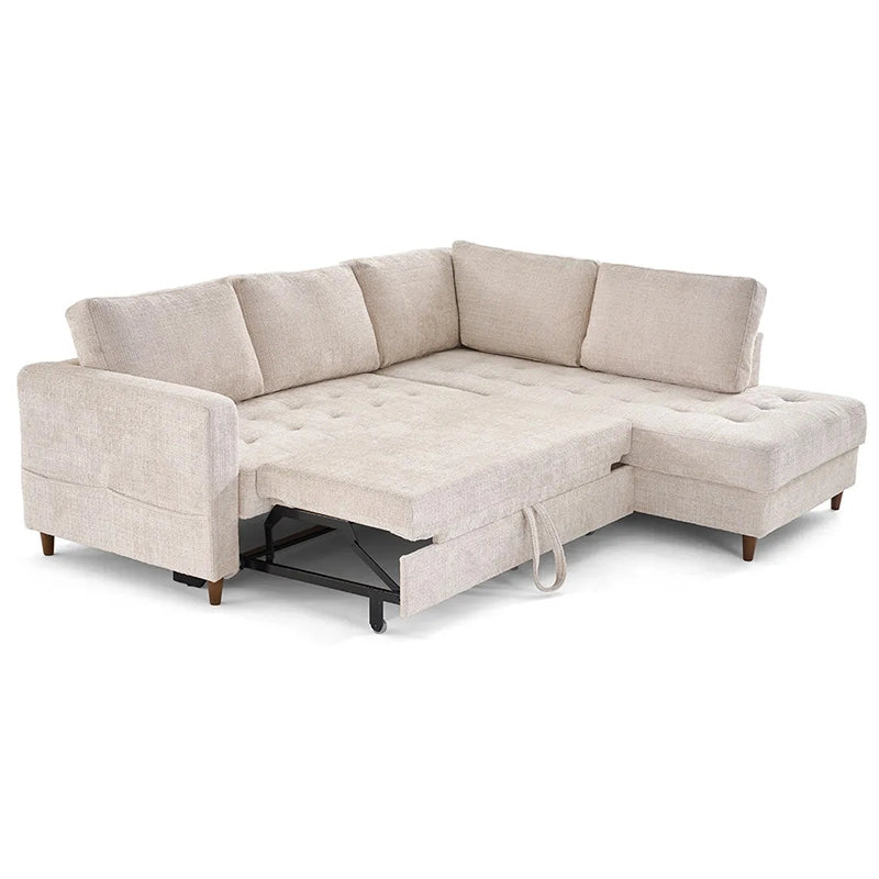 Lounge view of Flare storage sofa cum bed featuring pull out sofa bed conversion, sofa beds couch styling and everyday comfort