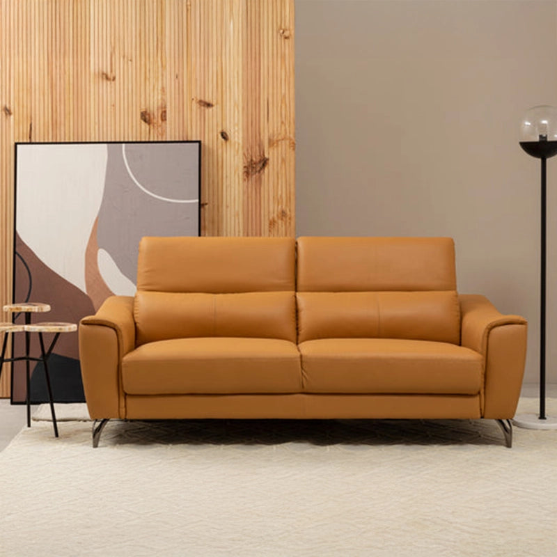 Designer image of curved arm couch, design couches, contemporary sofa design, 2 seater, polished leg